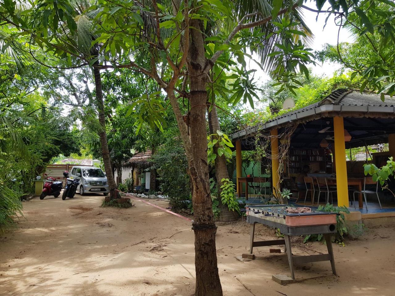 Albero Cabanas Baía de Arugam Exterior foto