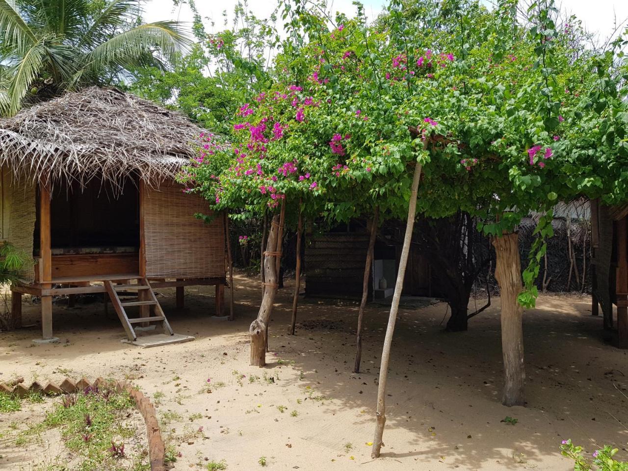 Albero Cabanas Baía de Arugam Exterior foto